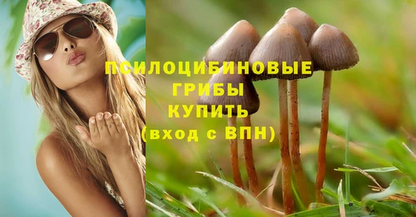 гидропоника Аркадак