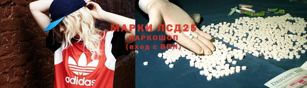 гидропоника Аркадак